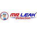 Mr. Leak Detection of Georgia logo