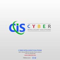Cyber Solutions image 1