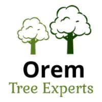 Orem Tree Experts image 1