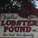 The Naples Lobster Pound, Inc. logo