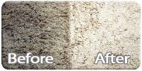 Dallas TX Carpet Cleaning image 4
