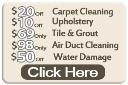 Dallas TX Carpet Cleaning logo