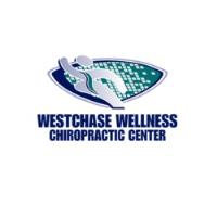 Westchase Wellness Chiropractic Center image 1