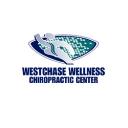 Westchase Wellness Chiropractic Center logo