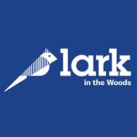 Lark in the Woods image 1
