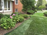 All Seasons Landscaping image 4
