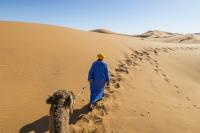 Nomads Morocco Tours image 1