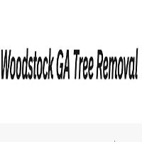 Woodstock GA Tree Removal image 4