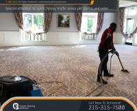 Carpet Cleaning Horsham image 3