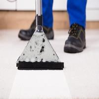 Carpet Cleaning New Haven image 1