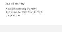 Mold Remediation Experts-Miami image 1