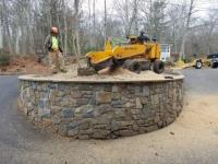 Green Valley Tree LLC image 3