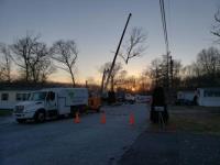 Green Valley Tree LLC image 4