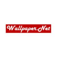 WallpaperNet image 1