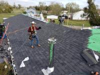 Shingle Roof Plano TX image 1