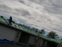 Shingle Roof Plano TX image 3