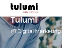 Tulumi Digital Marketing image 1