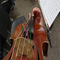 M. Yu Advanced Violin Lessons image 1