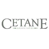 Cetane Associates image 1