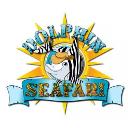 Panama City Dolphin Seafari Tours logo
