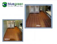 Bluegreen Carpet And Tile Cleaning image 2