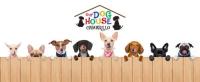 Our Dog House Camarillo image 3