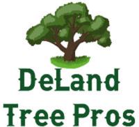 DeLand Tree Pros image 1