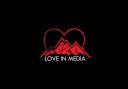 Love In Media  logo