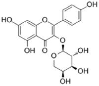 Kaempferol 3-O-arabinoside image 1