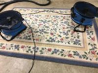 All Oregon Carpet Cleaning image 4
