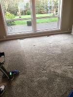 All Oregon Carpet Cleaning image 7