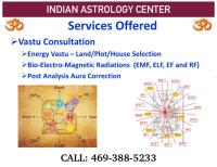 Indian Astrologer & Spiritual Healer image 7