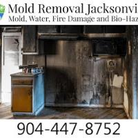 Mold Removal Jacksonville image 1