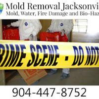 Mold Removal Jacksonville image 2