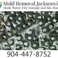 Mold Removal Jacksonville image 3