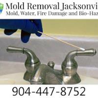 Mold Removal Jacksonville image 7