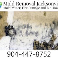 Mold Removal Jacksonville image 5