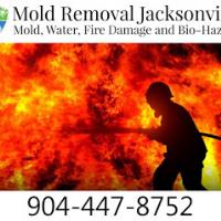Mold Removal Jacksonville image 4