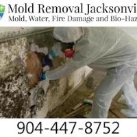 Mold Removal Jacksonville image 6