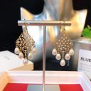 Celien Geometric Pearl Embellished Earrings logo