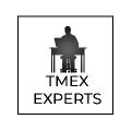 Tme Experts Network Cybersecurity & IT Solutions logo