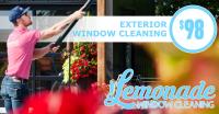 Lemonade Window Cleaning image 1