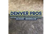Denver Pros. Carpet, Air Duct & Window Cleaning image 14