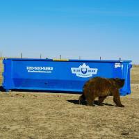 Blue Bear Waste Services image 7