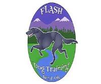 Flash Dog Training image 1