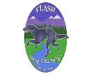 Flash Dog Training logo