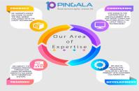 Pingala Software LLC image 2