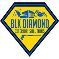 BLK Diamond Exterior Solutions image 1