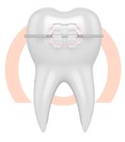 Schroeder Orthodontics image 2