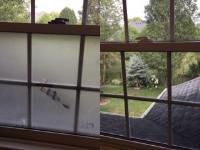 Simply Clean Pressure Washing & Window Cleaning  image 8